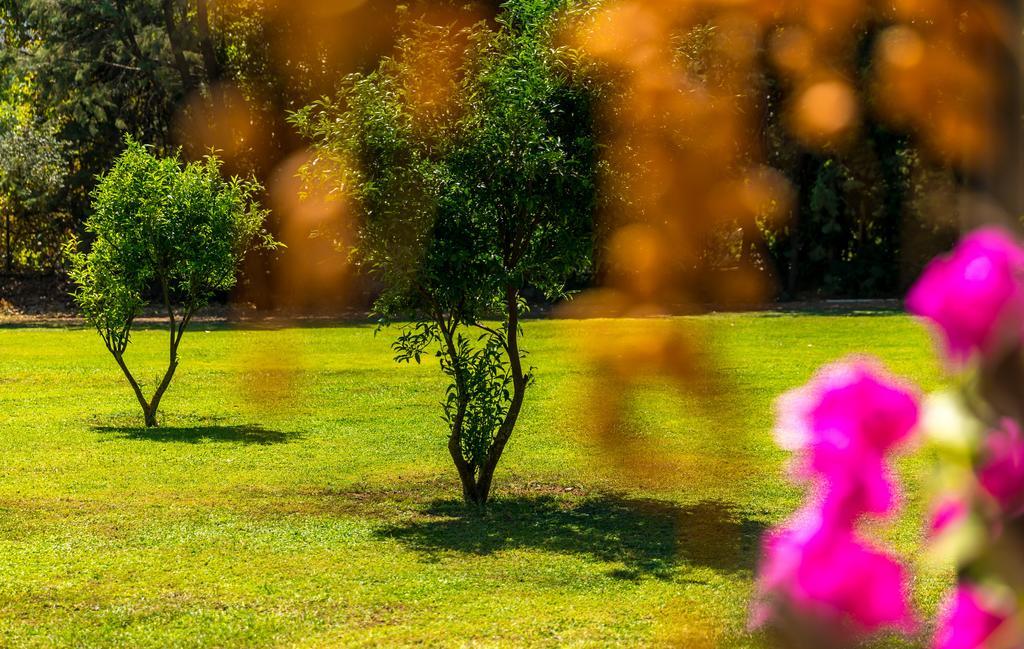 Marmaris Holiday Villas エクステリア 写真