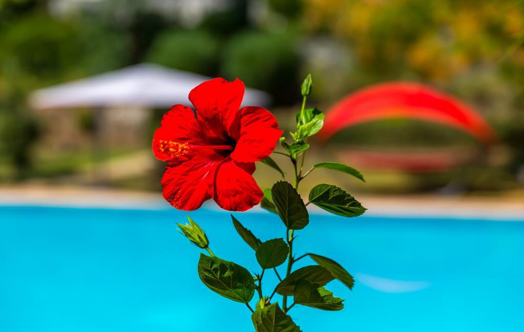 Marmaris Holiday Villas エクステリア 写真